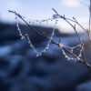 A sterling silver bead necklace with polished silver beads on a delicate 925 sterling silver chain is hanging in a tree